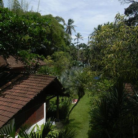 Chalet Y Cabinas Hibiscus Cahuita Buitenkant foto