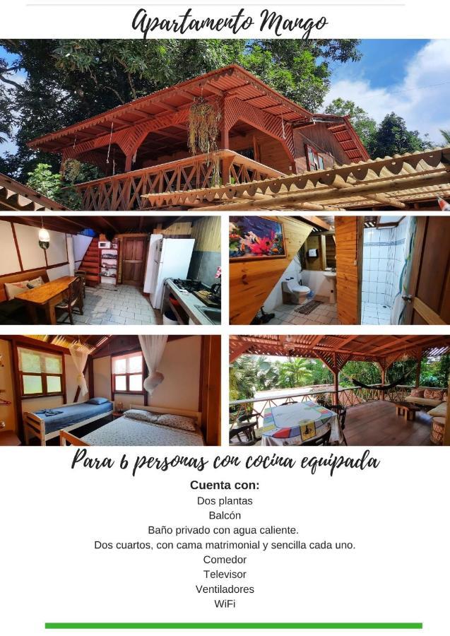 Chalet Y Cabinas Hibiscus Cahuita Buitenkant foto