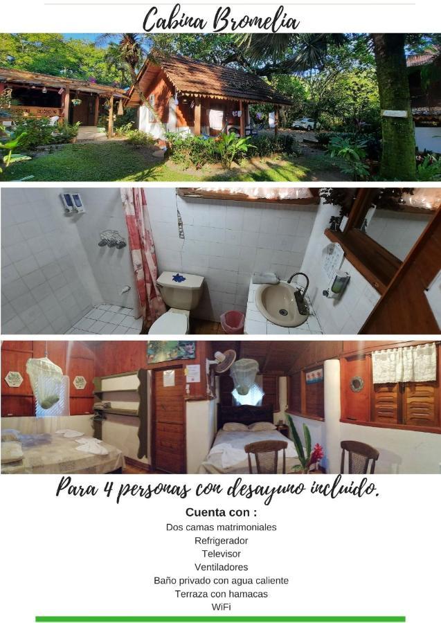 Chalet Y Cabinas Hibiscus Cahuita Buitenkant foto