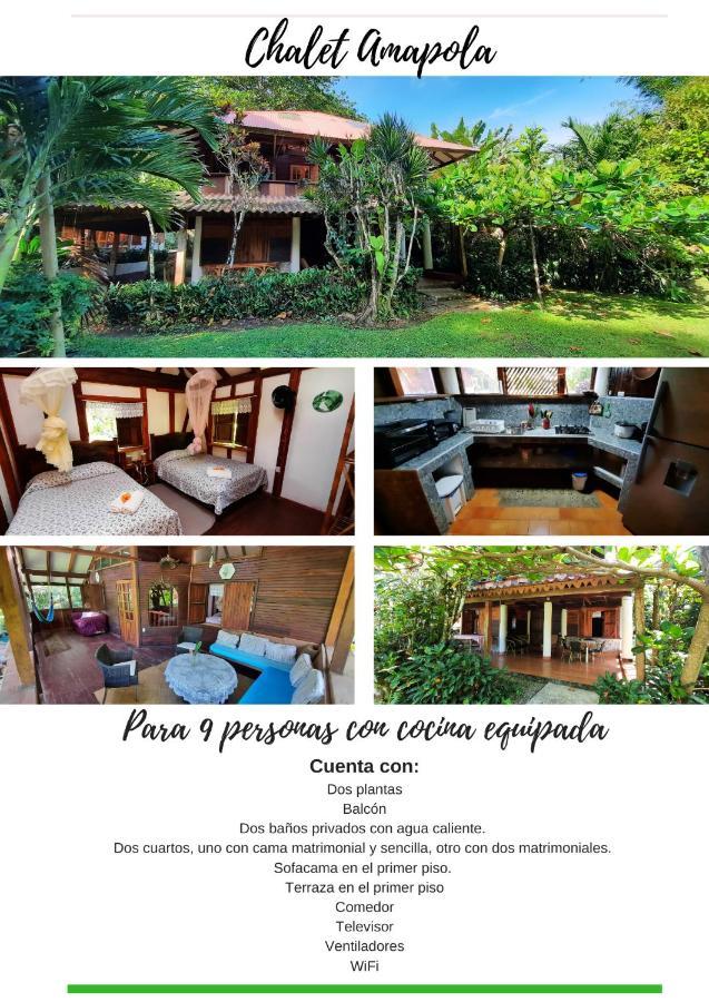 Chalet Y Cabinas Hibiscus Cahuita Buitenkant foto