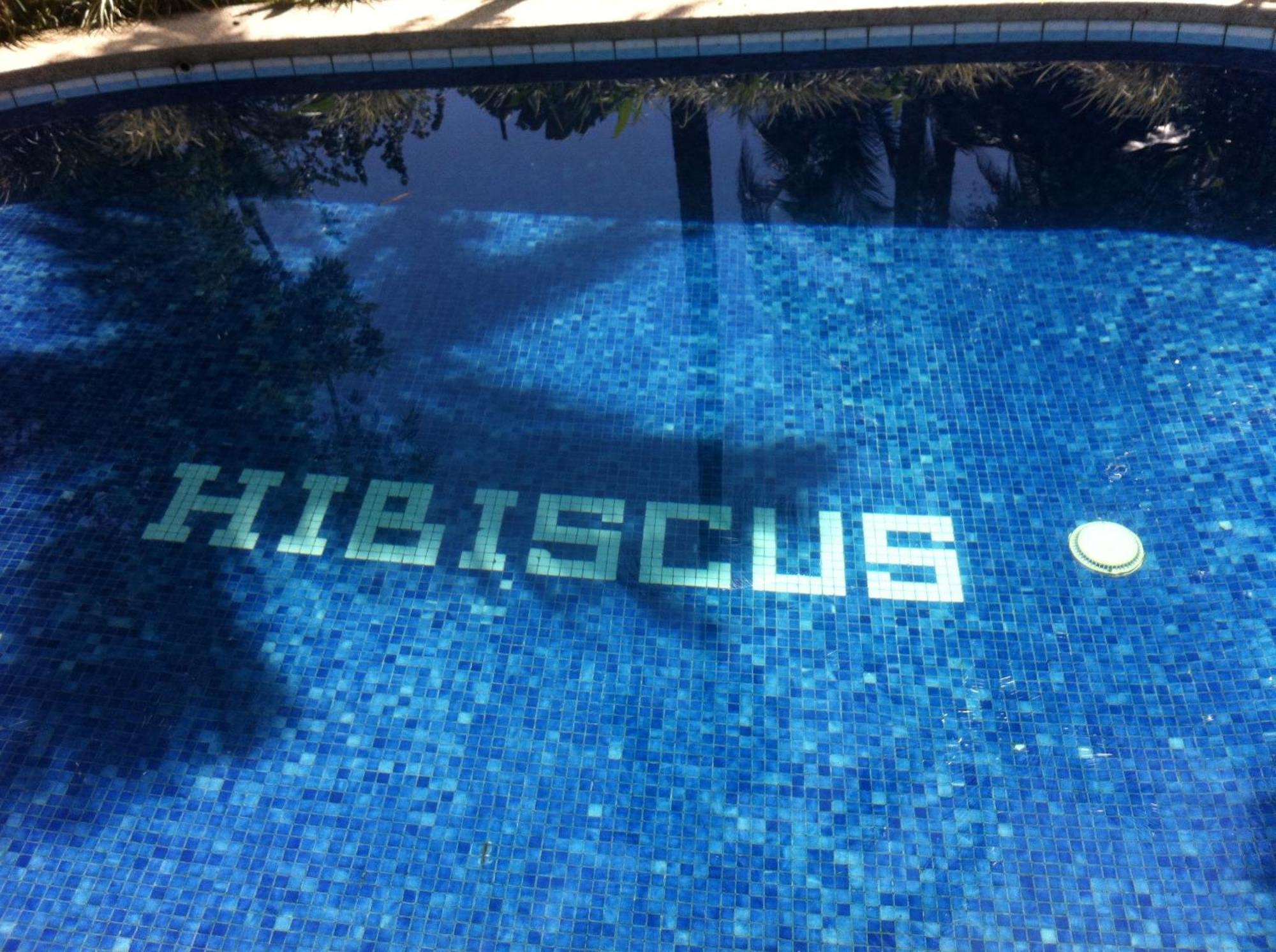Chalet Y Cabinas Hibiscus Cahuita Buitenkant foto