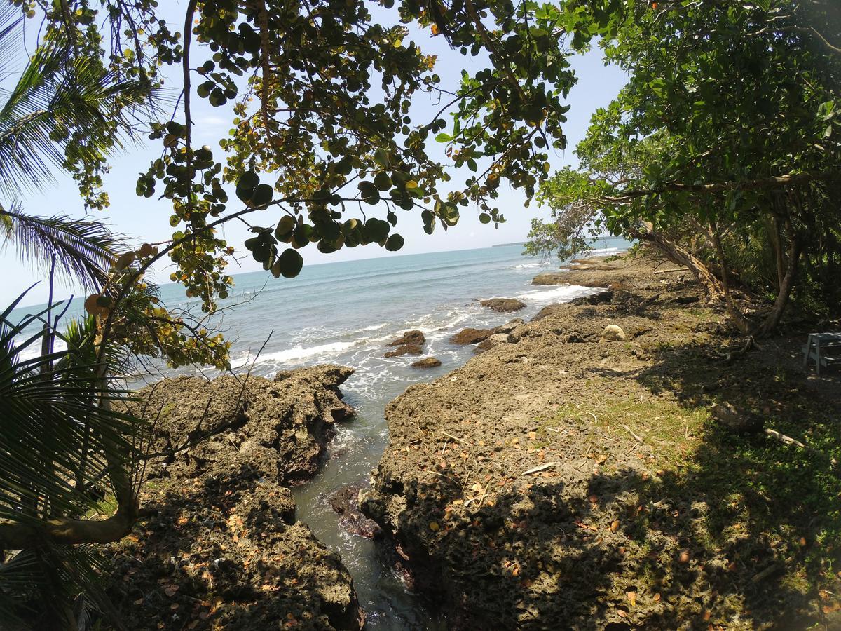 Chalet Y Cabinas Hibiscus Cahuita Buitenkant foto