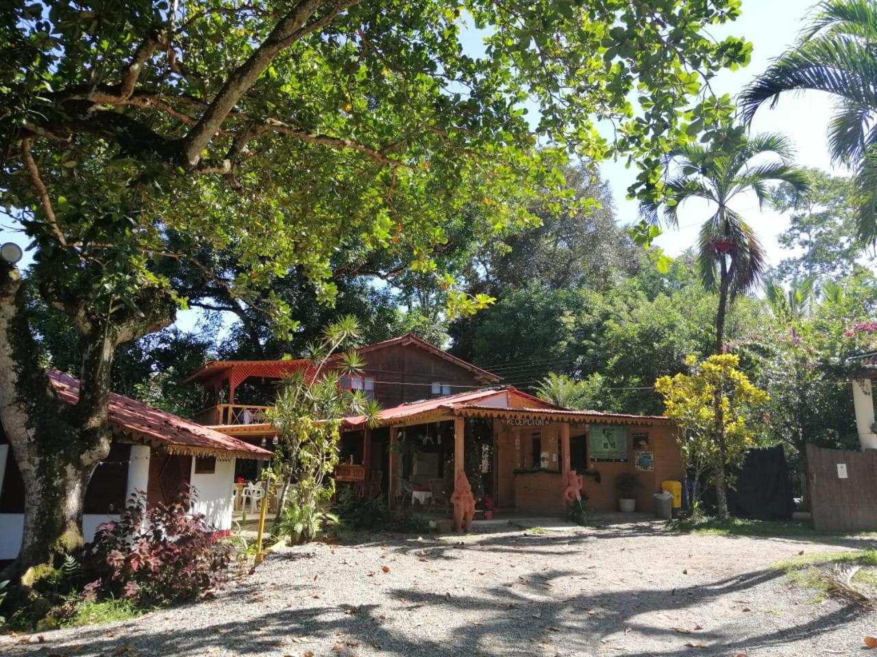 Chalet Y Cabinas Hibiscus Cahuita Buitenkant foto