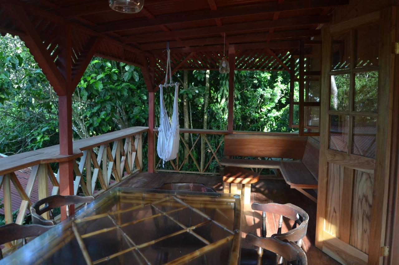Chalet Y Cabinas Hibiscus Cahuita Buitenkant foto